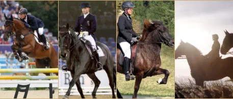 cobra Fotocollage - Pferd & Reiter © Foto: cobra
