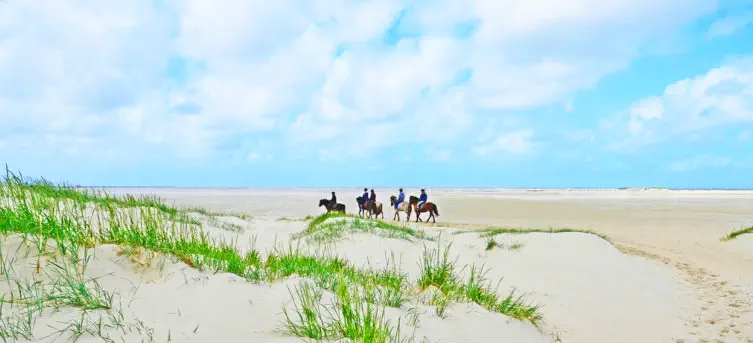 cobra Freizeit Sattel © Foto: Rear view of young woman walking a horse on beach © michaeljung Fotolia.com